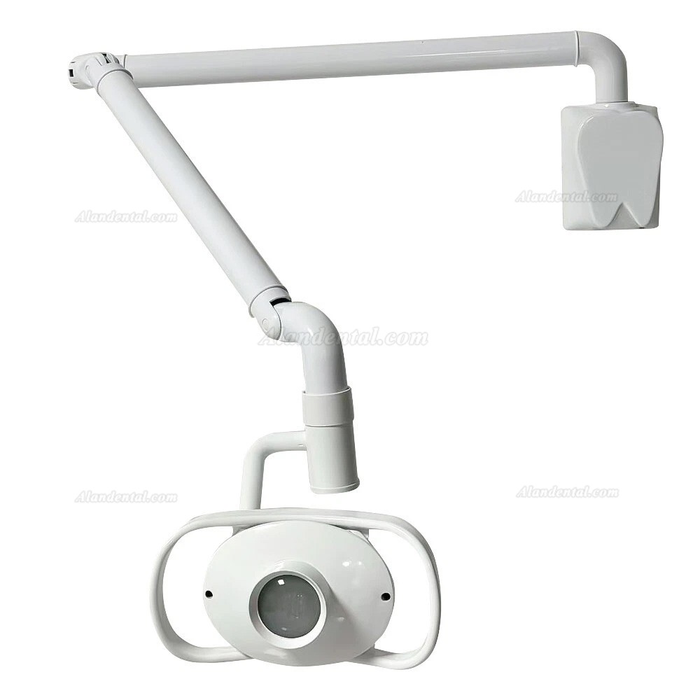 Dental Otolaryngology ENT Examination Lamp (Wall-Mounted) With Arm